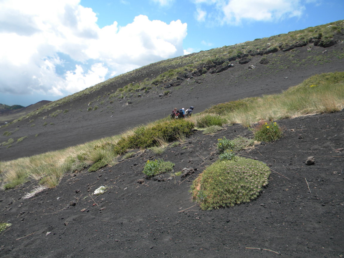 DSCN9534 .JPG